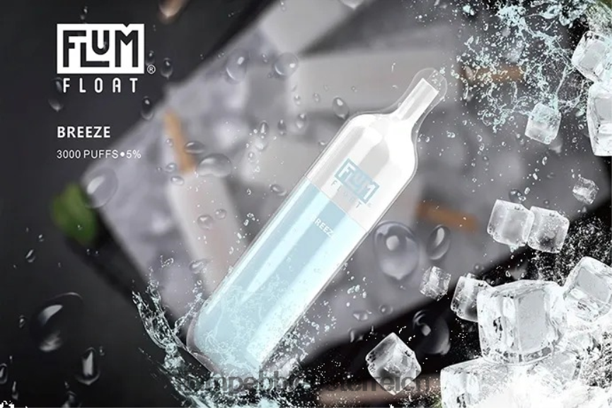 Flum Float Vape Flavors - FLUM FLOAT 3000 Züge Brise 60R2BJ19