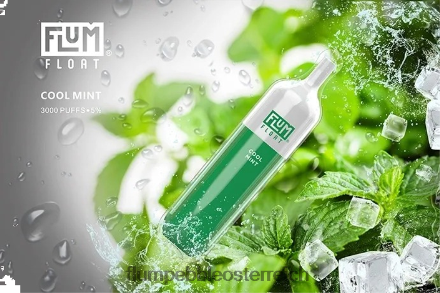 Flum Pebble Review - FLUM FLOAT 3000 Züge frische Minze 60R2BJ25