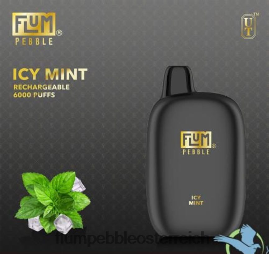 Flum Float Vape Flavors - FLUM PEBBLES 6000 Züge eisige Minze 60R2BJ49