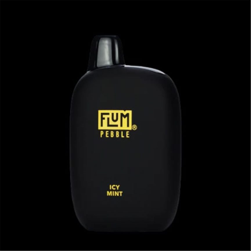 Flum Float Vape Flavors - FLUM PEBBLES 6000 Züge eisige Minze 60R2BJ49