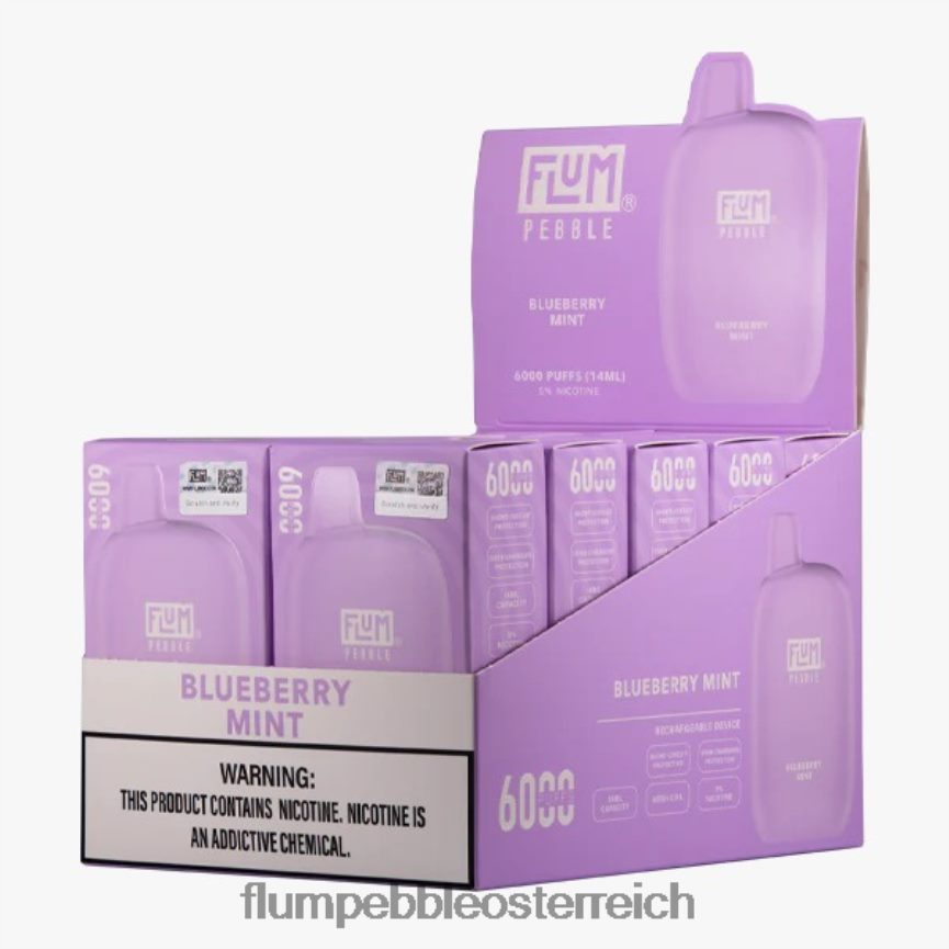Flum Float Vape Near Me - FLUM PEBBLES 6000 Züge 10 Packungen Blaubeerminze 60R2BJ18