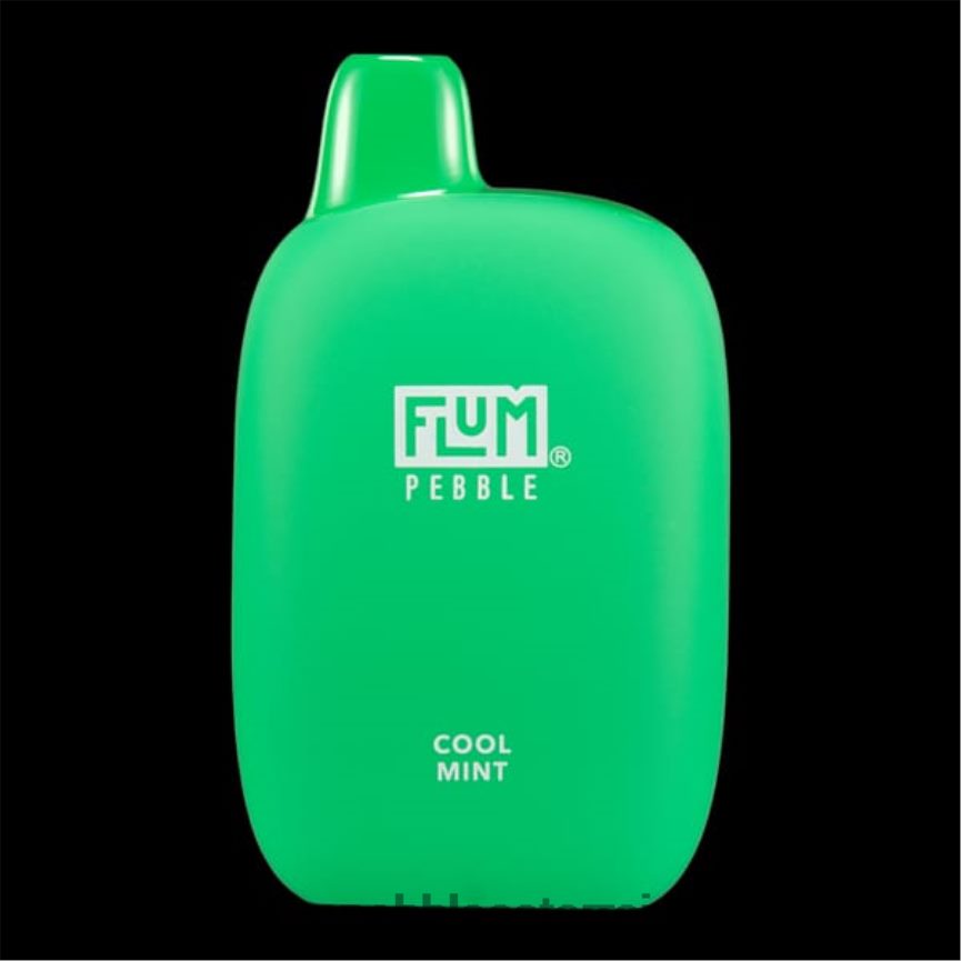 Flum Pebble Best Flavor - FLUM PEBBLES 6000 Züge frische Minze 60R2BJ24