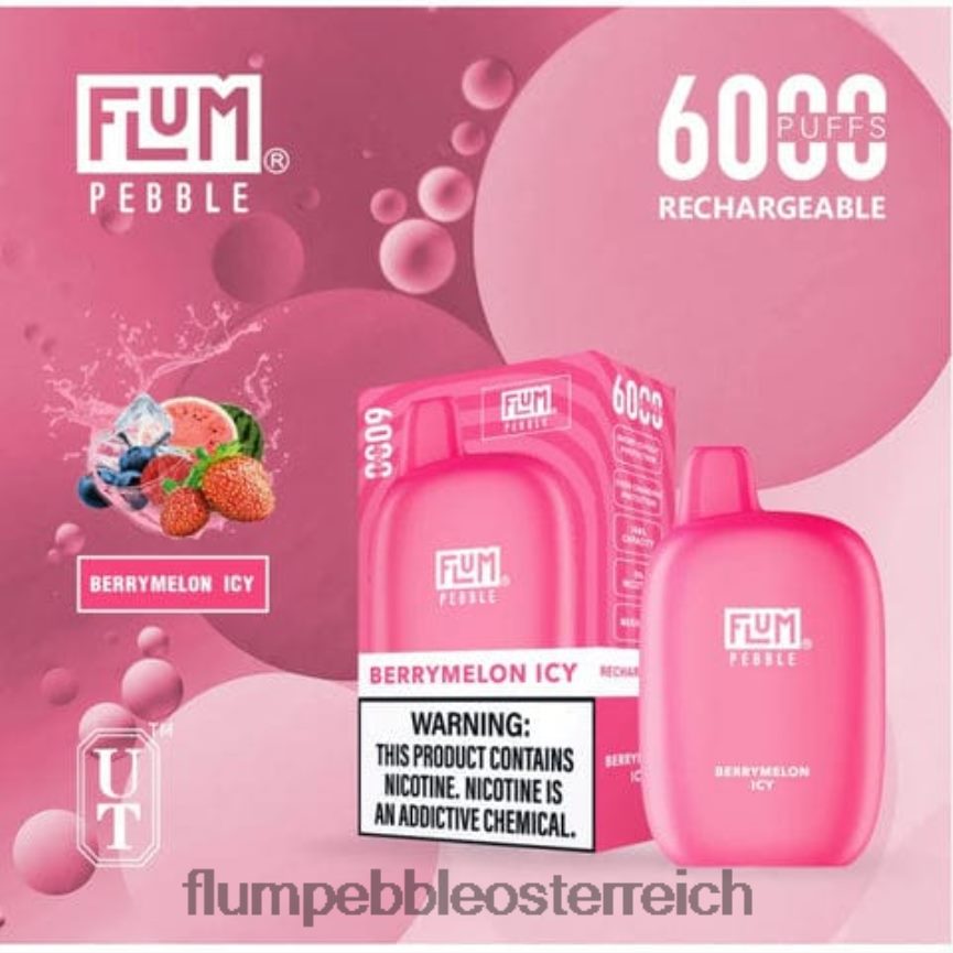 Flum Pebble Flavors - FLUM PEBBLES 6000 Züge Beerenmelone eisig 60R2BJ7