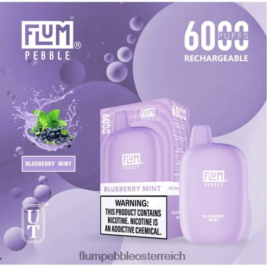 Flum Pebble Flavors - FLUM PEBBLES 6000 Züge Blaubeerminze 60R2BJ17