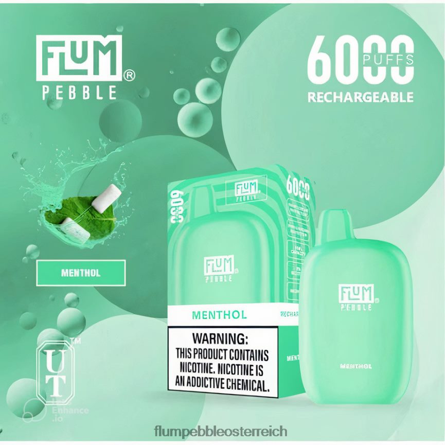 Flum Pebble Flavors - FLUM PEBBLES 6000 Züge Menthol 60R2BJ57