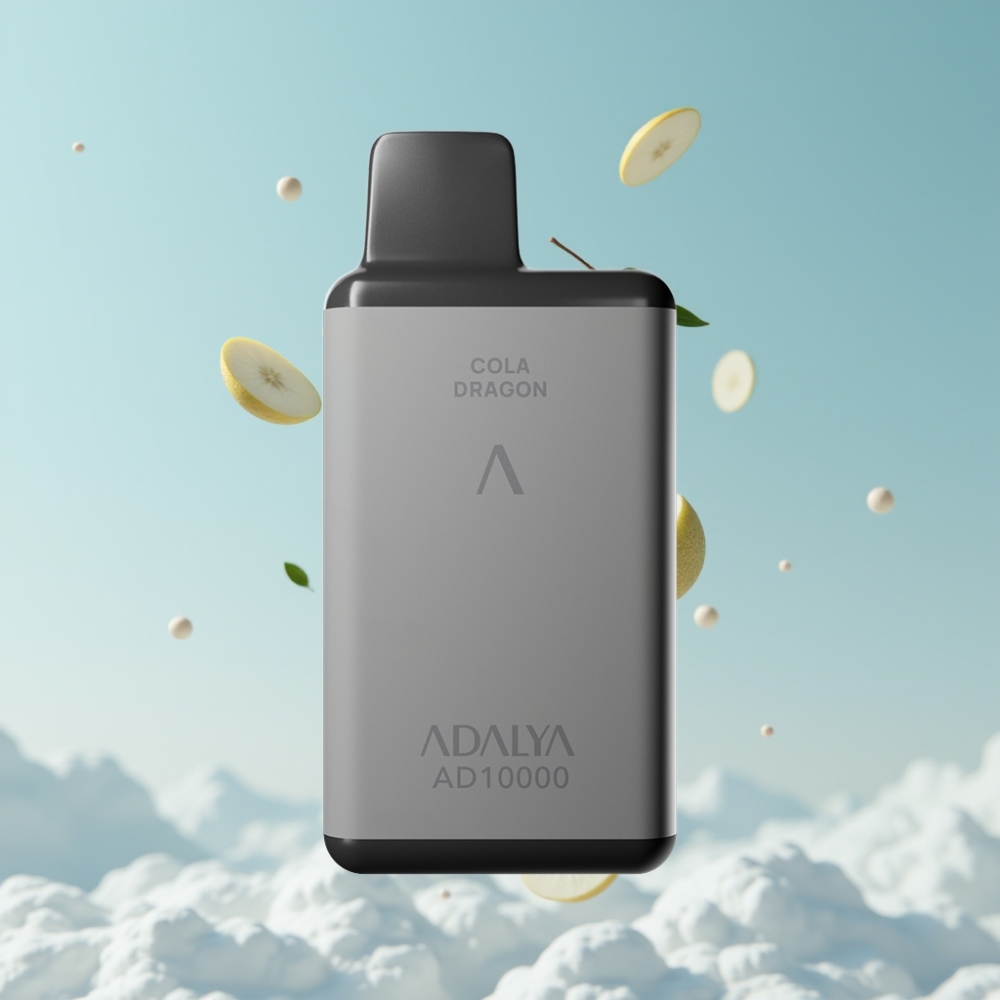 Adalya AD 10000 Puffs Space Grau Minze USB-C Aluminium