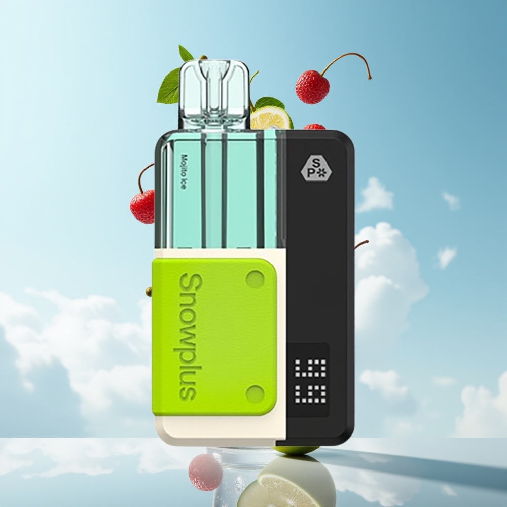 Snowplus Swift 5000 Puffs Dual Mesh 1000 mAh Mojito-Eis